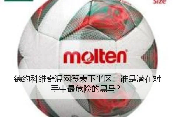 德约科维奇温网签表下半区：谁是潜在对手中最危险的黑马？